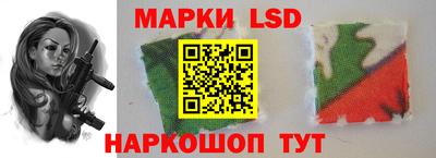 apvp Свободный