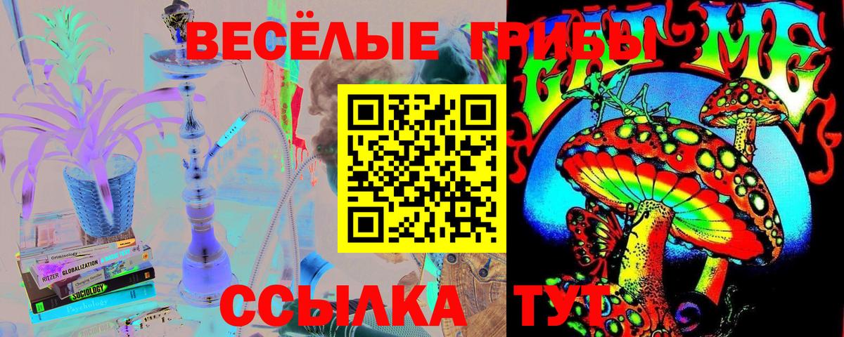 сколько стоит  Псилоцибиновые грибы GOLDEN TEACHER  Вход с VPN  Псилоцибиновые грибы мицелий  Нефтекумск 